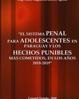 El Sistema Penal para Adolescentes en Paraguay y los Hechos Punibles más Cometidos, en los Años 2018-2019
