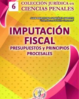 Imputación Fiscal Presupuestos y Principios Procesales