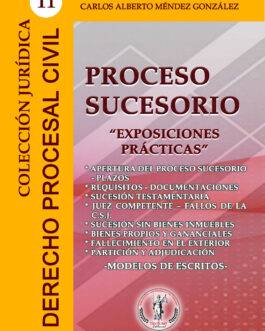 Colección Jurídica DPC N°11 Proceso Sucesorio